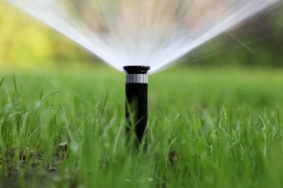 wasting water in las vegas 2026